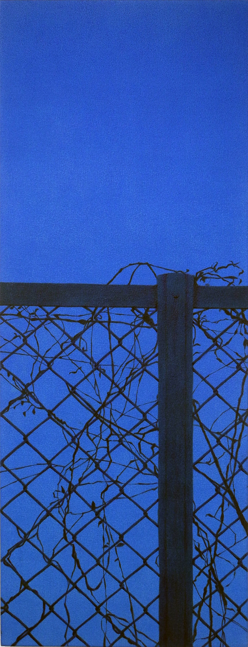 fence