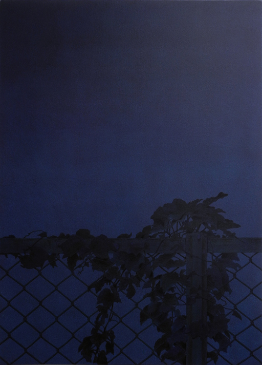 空の海