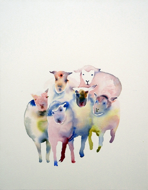 flock of sheep 01