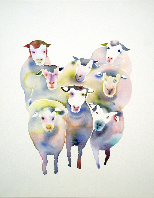 flock of sheep 02