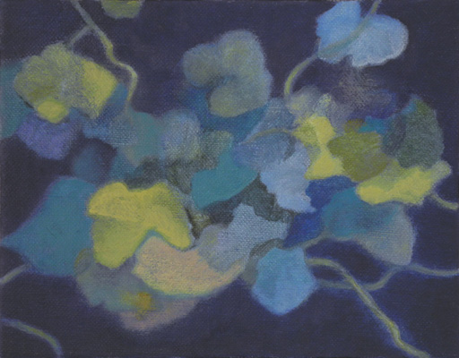 aqua plants