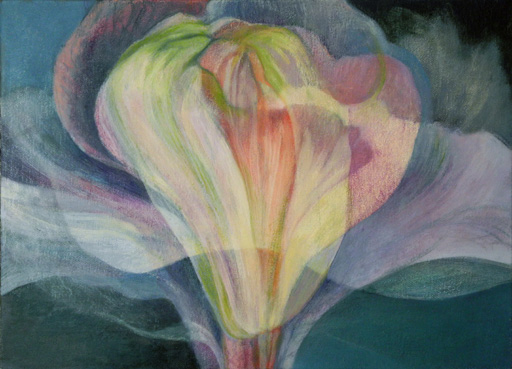 bloom 2013.No.4